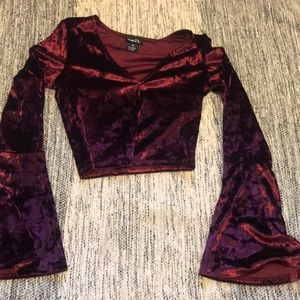 Velvet Crop Top w Flared Sleeves